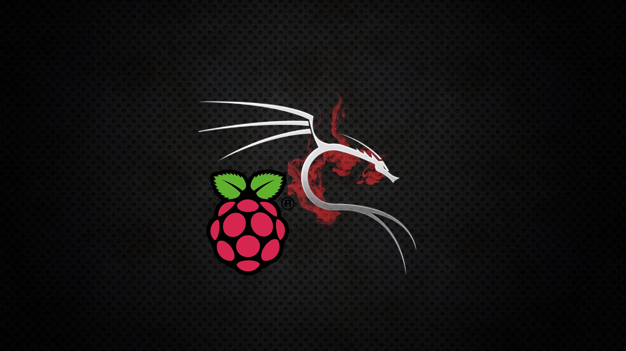 kali linux on raspberry pi