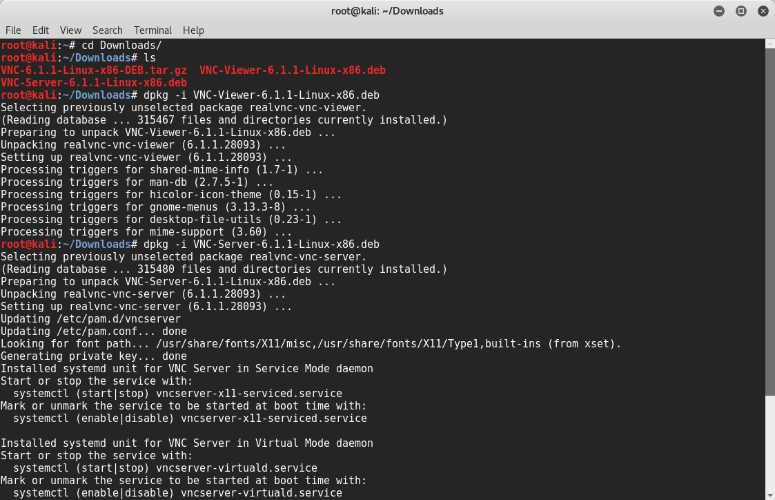 vnc viewer for mac raspberry pi server kali
